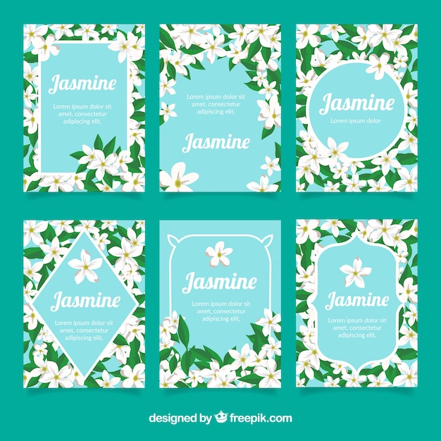 Vector lovely collection of jasmine cards