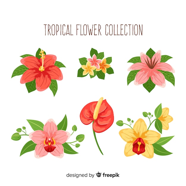 Lovely hand drawn tropical flower collection