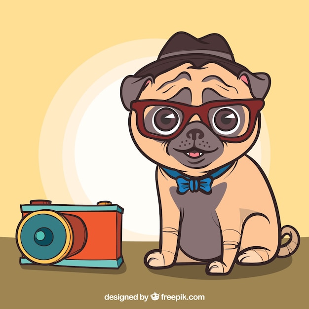 Vector lovely pug with photographer style