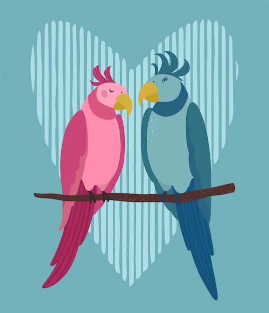 Vector loving couple of parrots