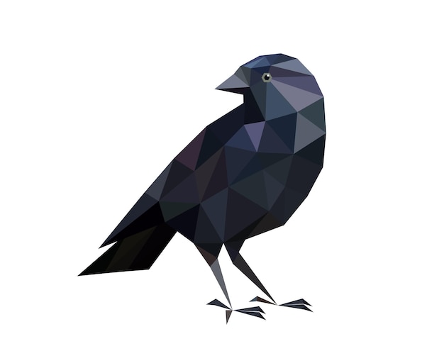 Low poly Rook bird