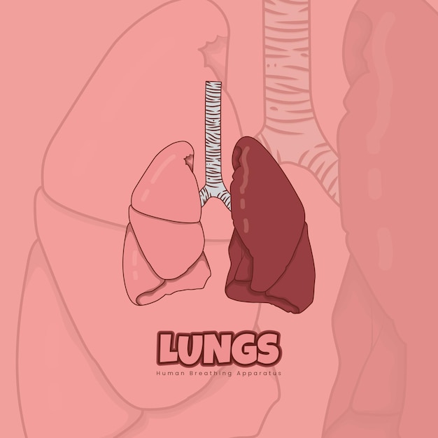 Lungs in cartoon design for health template in pink background design