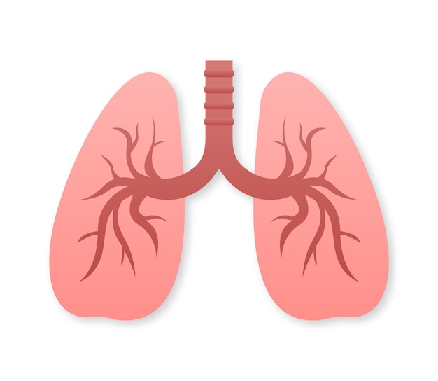 Lungs flat style Vector illustration icon Isolated vector illustrationMedical icon