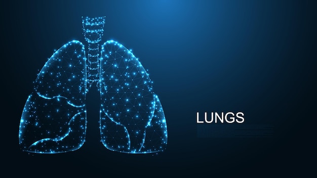 lungs of human anatomy structure line connection