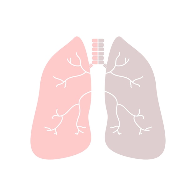 Lungs illustration for medical design Medicine concept