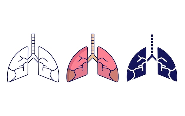 Lungs vector icon