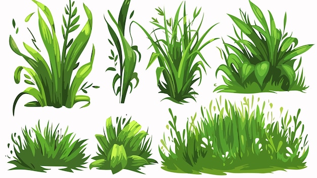 Lush Green Cartoon Grass Bunches Clusters