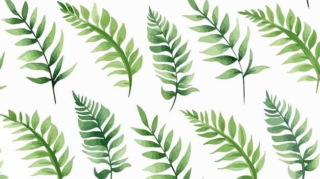 Lush Green Fern Leaves on White Background Watercolor Illustration