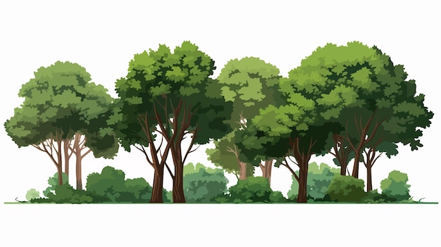 Vector lush green trees with thick bushes and green trunks in isolated setting