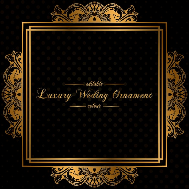 Vector luxury gold floral frame outline decoration