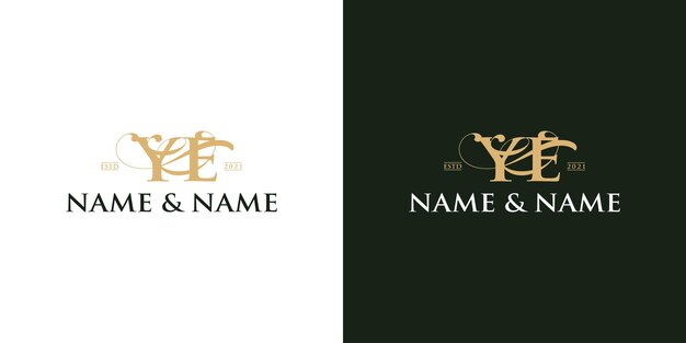 Vector luxury letter logo design