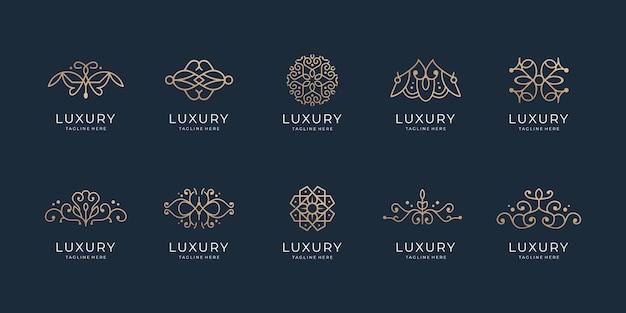 Luxury line art style set design template boutique concept linear retro vintage antiqueornament