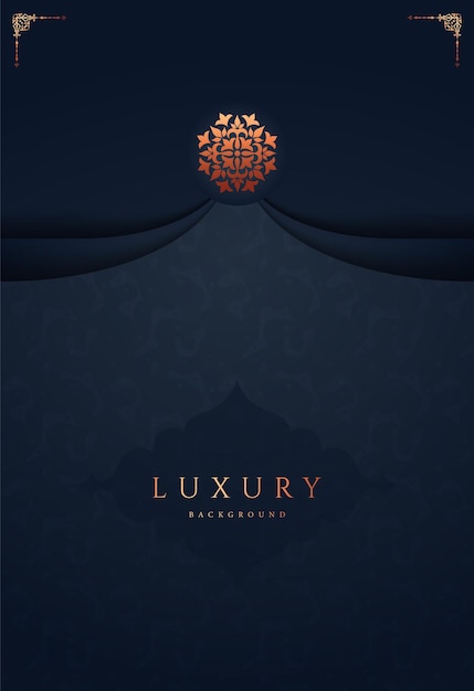 luxury modern abstract background with premium vector