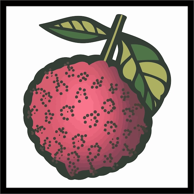 Lychee color vector illustration