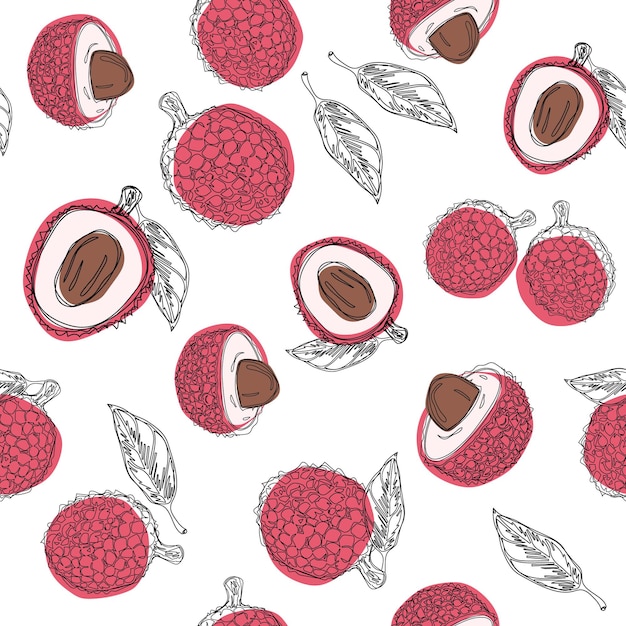 Lychee fruit hand draw graphic color seamless pattern Continuous line hand drawn illustration