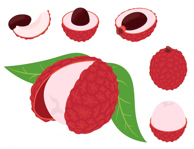 Lychees icons set, isometric style