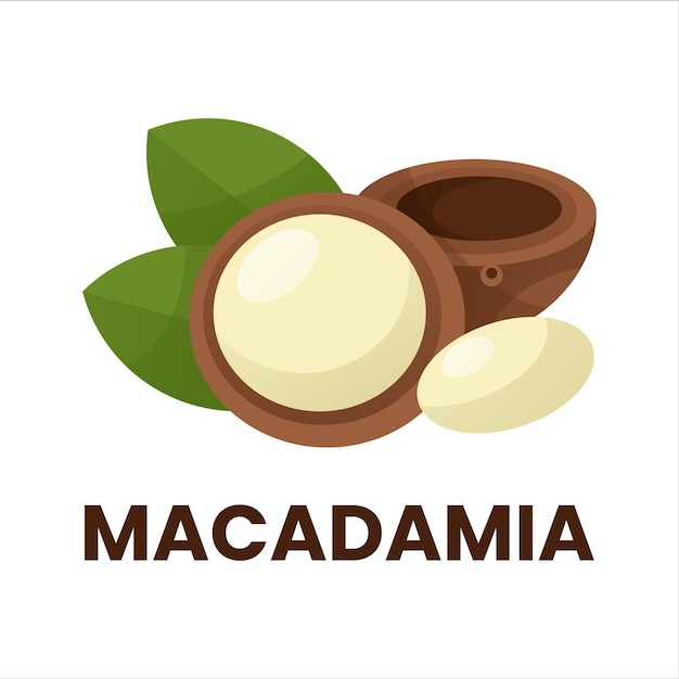 macadamia icon logo