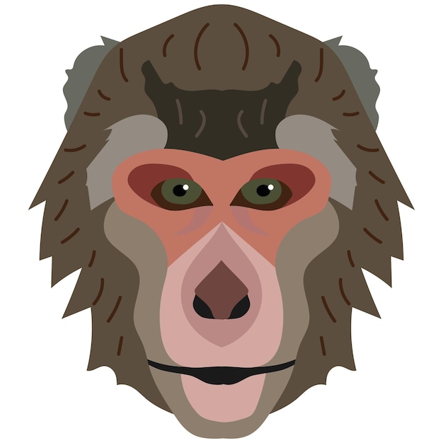 Macaque head illustration flat style logo Cartoon image vector graphics