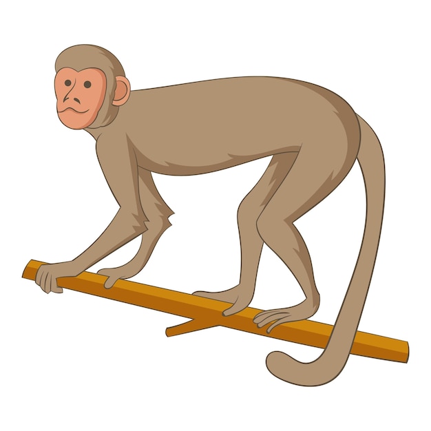 Macaque icon Cartoon illustration of macaque vector icon for web