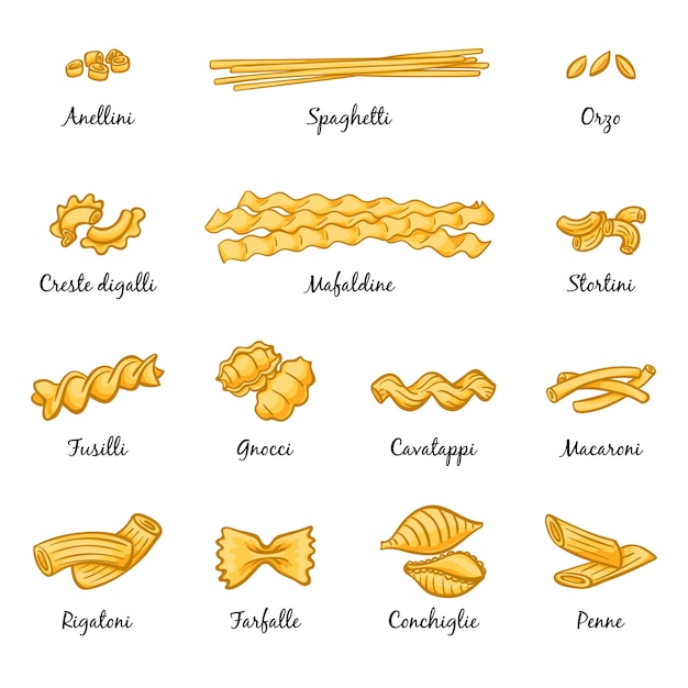 Vector macaroni, spaghetti and others type of italian pasta.  pictures isolate on white. italian cuisine food, traditional type spaghetti illustration