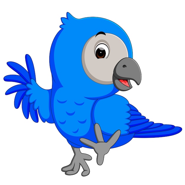 Macaw bird cartoon