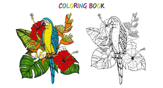 Macaw Parrot in summer for coloring book