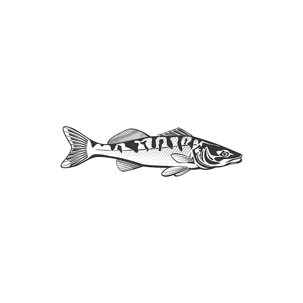 Mackerel fish vector icon saltwater creature