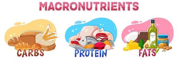 Macronutrients diagram with food ingredients