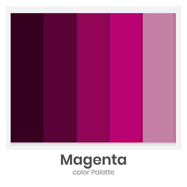 Magenta color palette collection for illustration design