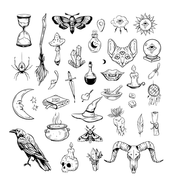 Vector magic set witch tools wizards equipment vector alchemy or sorcery elements set vector sketch illustration