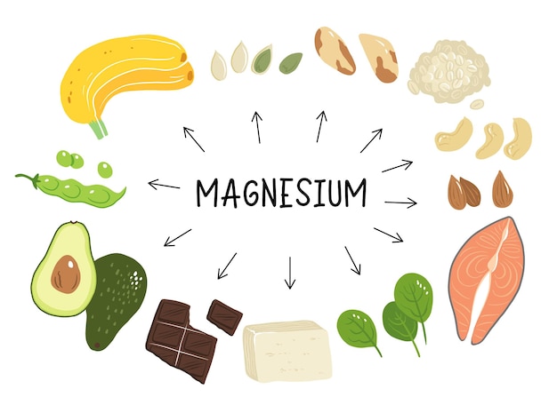 Magnesium vector stock illustration Food products with a high content of the mineral fatty fish tofu avocado oats spinach almonds cashew nuts banana Information poster Food diet