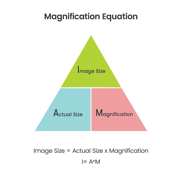 Magnification equation science vector illustration diagram