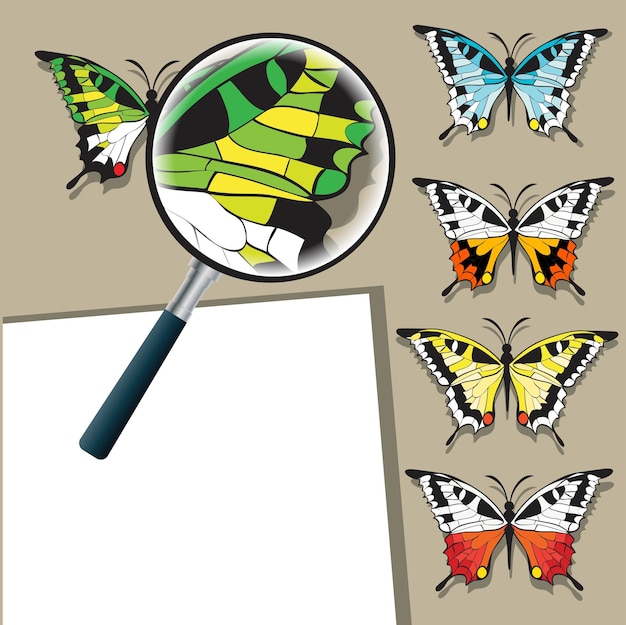 Magnifying glass and butterflies