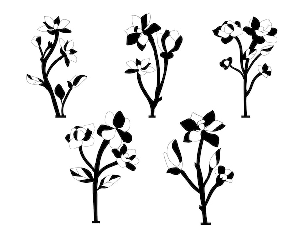 Magnolia Flower isolated vector Silhouettes