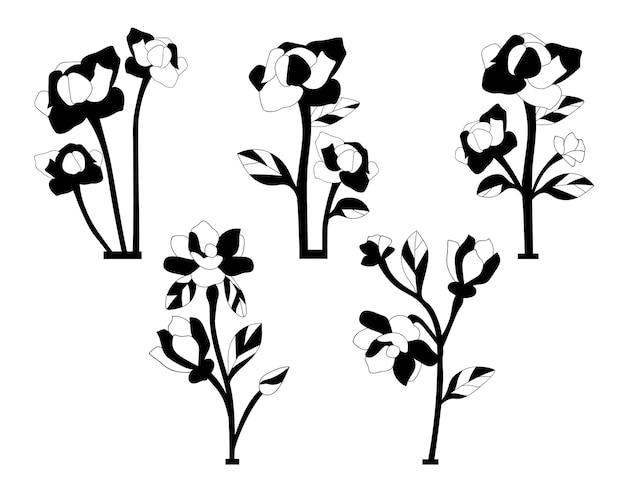 Magnolia Flower isolated vector Silhouettes