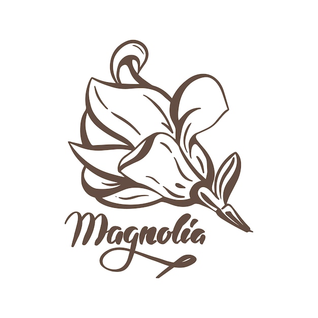 Magnolia flower Modern abstract vector floral icon.