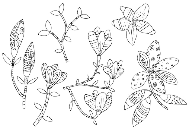 Magnolia flowers on branches with leaves. Set of botanical graphic elements Hand drawn