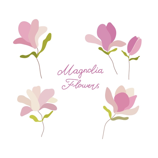 Magnolia on a white background Illustration Vector set of floral elements with hand drawn flowers