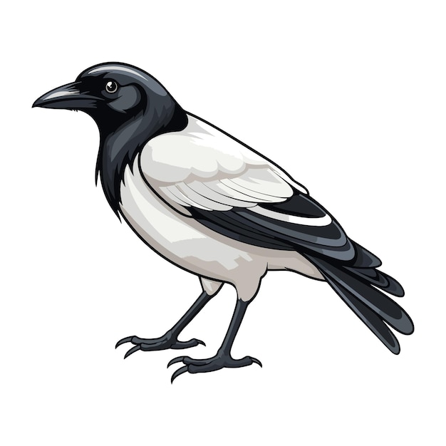 Vector magpie bird cartoon style vector illustration