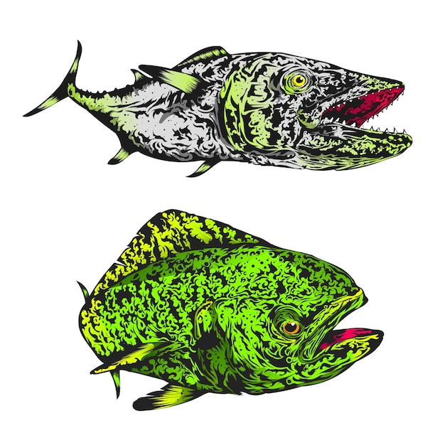 mahimahi fish and tuna illustration