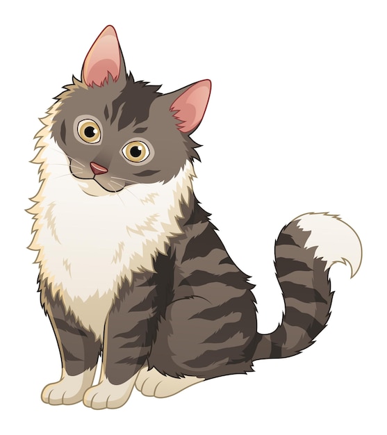 Maine Coon Cat Cartoon Animal Illustration