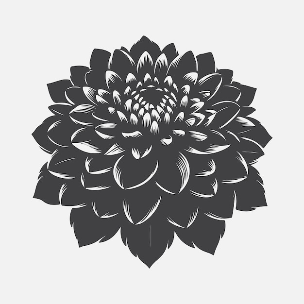 Vector majestic dahlia flower silhouette capturing natures elegance in every detail