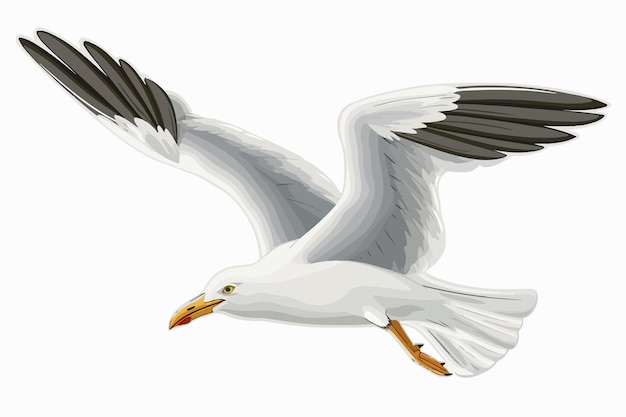 Majestic Seagull Soaring Over Clear Blue Sky Single Clipart Isolated on White Background