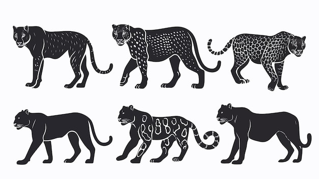 Vector majestic wild cats walking and standing together