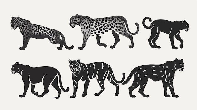 Vector majestic wild cats walking and standing together