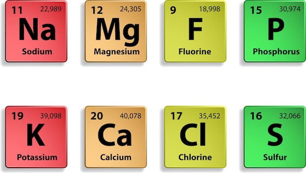 Major dietary elements