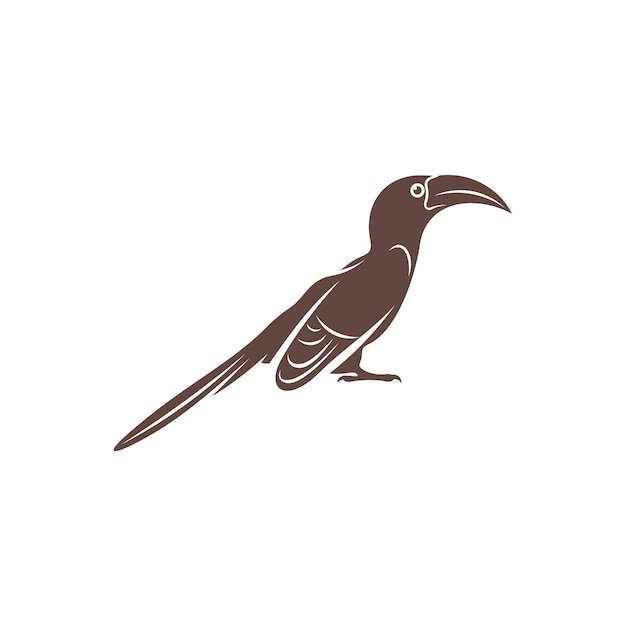 Malabar Grey Hornbill vector illustration design Malabar Grey Hornbill Silhouette Hornbill design template