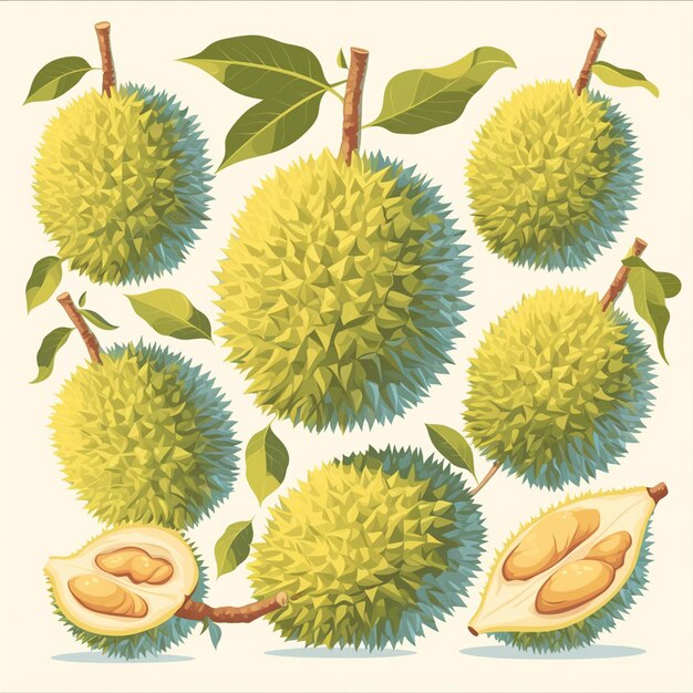 Malaysian durian fruit patterns with spiky designs