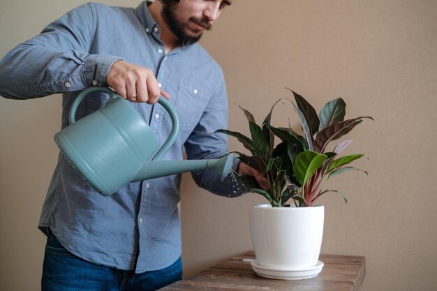 Vector male florist at work in a flower garden