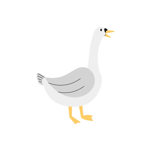 Male Goose Illustration